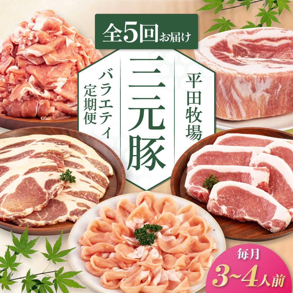 【ふるさと納税】【全5回定期便】 平田牧場 バラエティ定期便 3~4人前《喜茂別町》【平田牧場】 肉 豚肉 ロース バラ肉 ステーキ セット 定期便 北海道 平田牧場 三元豚 [AJAP127] 100000 100000円 10万円