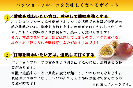 先行予約 津奈木町産 パッションフルーツ 約1kg(12～16個) つなぎ南興FARM《7月上旬-7月中旬頃出荷》フルーツ 果物 熱帯果樹栽培 バニラアイス ヨーグルト 練乳
