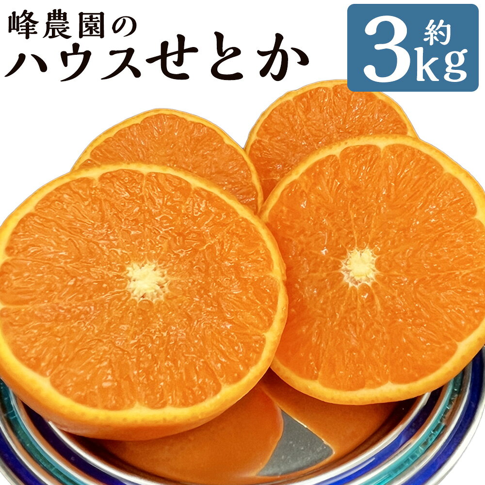【ふるさと納税】峰農園のハウスせとか 3kg （サイズおまかせ） 【2027年1月上旬-2月上旬発送予定】みかん 柑橘 アンコール マーコット オレンジ 薄皮 佐賀県 太良町 O169x2