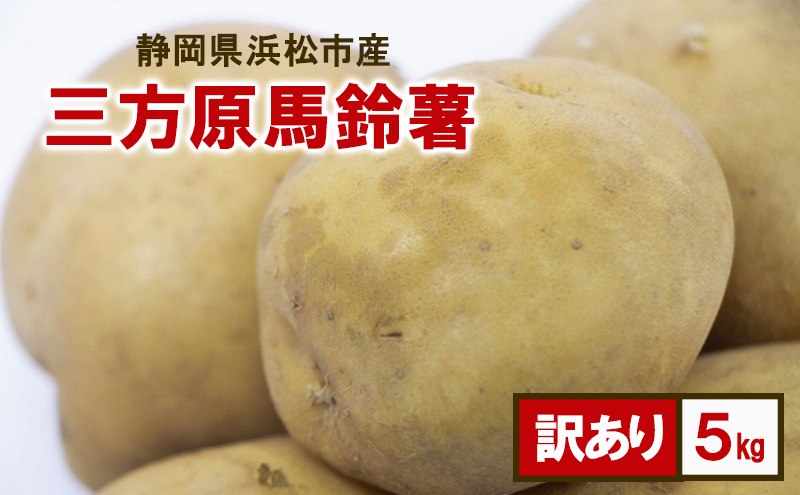 
            静岡県浜松市産 訳あり 三方原馬鈴薯 5kg 男爵 じゃがいも じゃが芋 ジャガイモ 国産 野菜 浜松市 [№5360-0543]
          