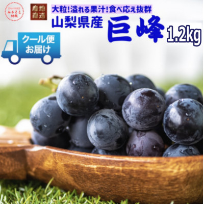 
安心のクール便発送　山梨県産　巨峰 1.2kg(2房)【1398970】
