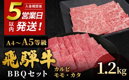 【5営業日以内発送】飛騨牛 A4~A5等級 飛騨牛 BBQセット 計1.2kg (カルビ+もも・カタ焼肉用) 岐阜県産 A4 A5 焼肉 詰め合わせ 黒毛和牛 カルビ もも かた 赤身 牛肉 牛 国産 お取り寄せ 自宅用 和牛 大容量 小分け 最短発送 肉のひぐち