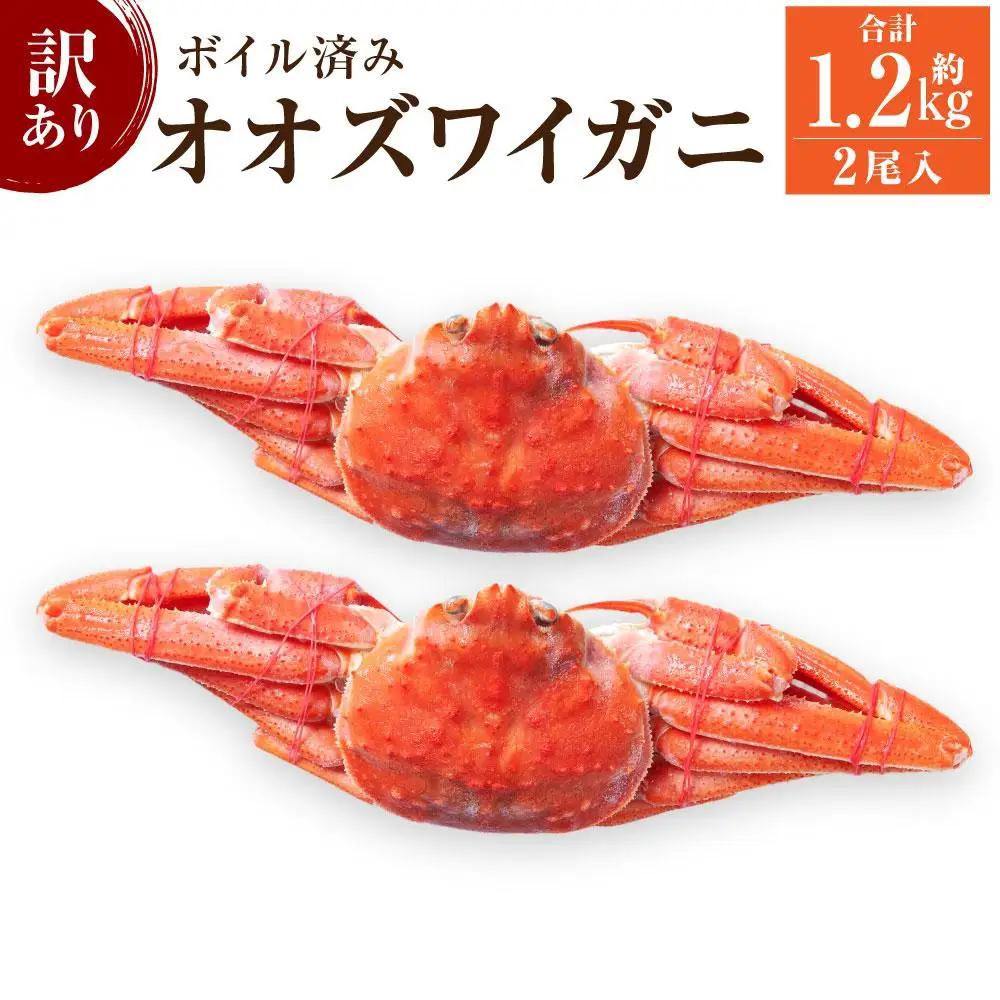 「訳あり」オオズワイガニボイル　2尾　合計約1.2kg