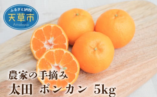 S040-005_農家の手摘み 太田 ポンカン 約5kg 【先行受付】