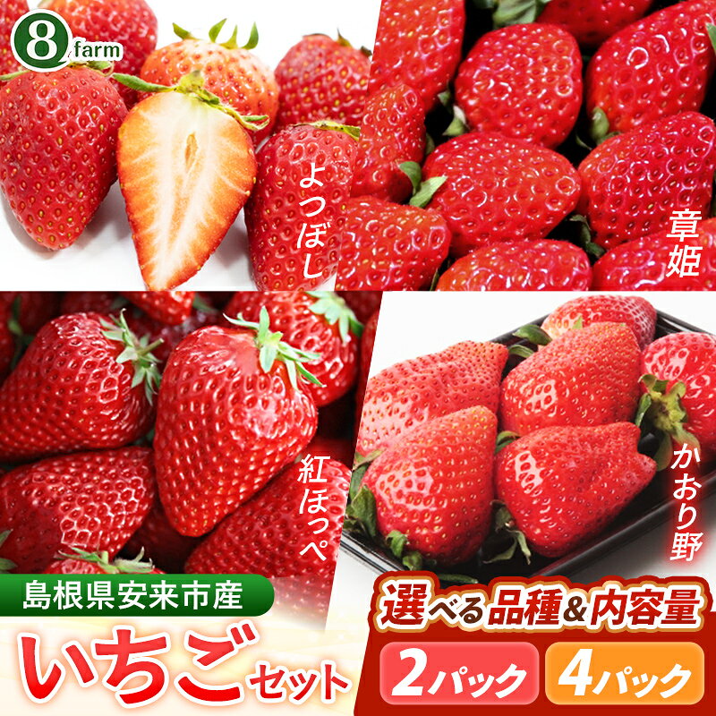 【ふるさと納税】【先行予約】選べる品種 イチゴ 2パック / 4パック 【 1パック 約290g 紅ほっぺ 章姫 かおり野 よつぼし 旬 品種 選べる 朝摘み 産地直送 いちご イチゴ 苺 ストロベリー 冷蔵 安来】