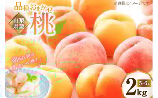 【期間限定発送】 桃 山梨県産 約 2kg 秀品 [のすけファーム 山梨県 中央市 21471049] もも モモ 果物 フルーツ ピーチ