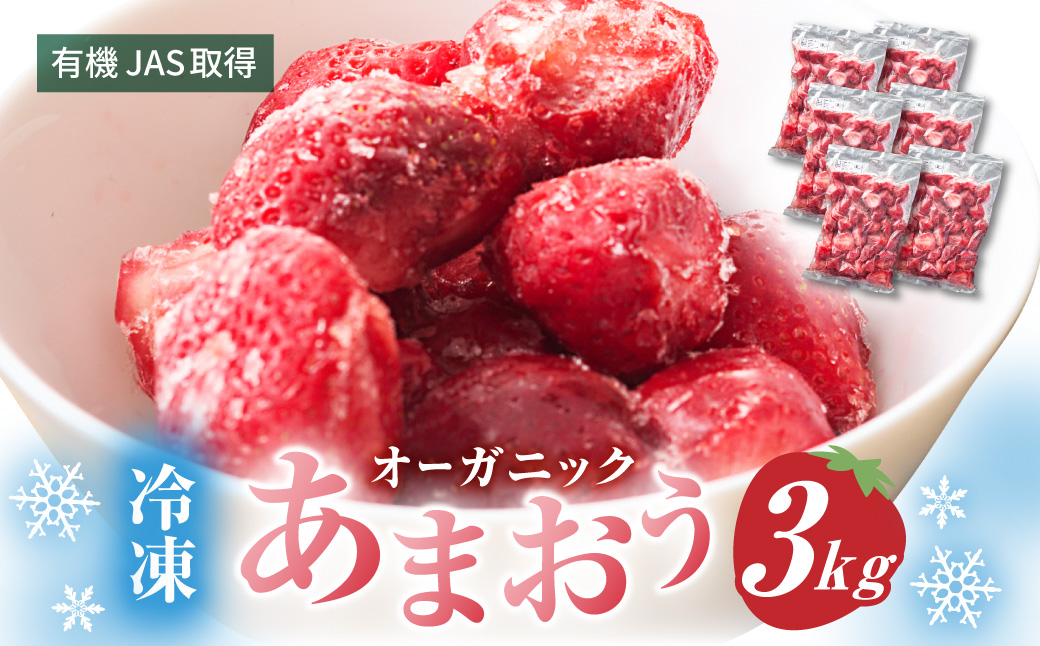 オーガニック冷凍あまおう 「いせいちご」 3kg (500g×6パック)【伊世いちご畑】_HA1317