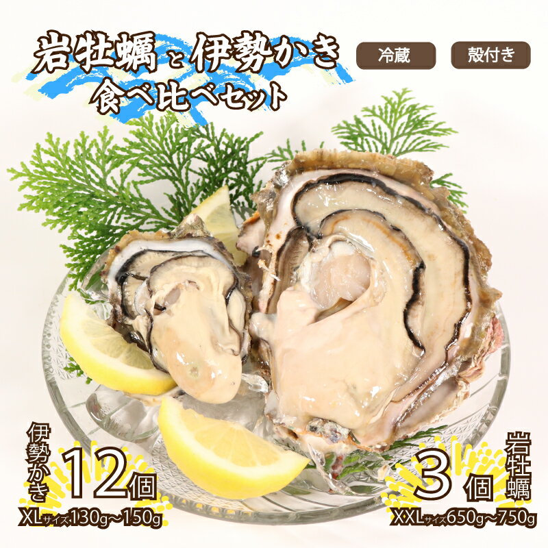 【ふるさと納税】 牡蠣 岩牡蠣 伊勢かき 食べ比べセット 岩牡蠣 XXLサイズ 3個 伊勢かき XLサイズ 12個 加熱用 濃厚 新鮮 養殖 殻付き 殻付 冷蔵 旬 季節限定 カキ kaki 鍋 カキフライ BBQ キャンプ おいしい 伊勢志摩 三重 南伊勢町 シェルファームみつなが 30000円 3万円