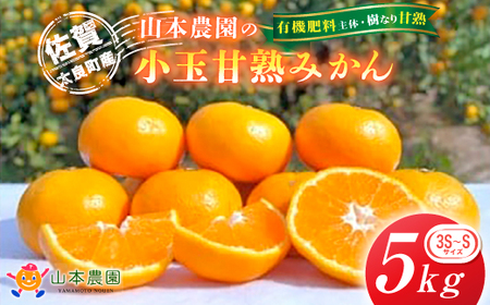L-12 山本農園の小玉甘熟みかん 5kg　みかん ミカン 蜜柑 日南 上野 太幸 佐世保早生 石地 温州みかん 完熟みかん 甘熟みかん 国産 佐賀県産 太良町 こだわり 産地直送 詰め合わせ 小玉 有機肥料 期間限定