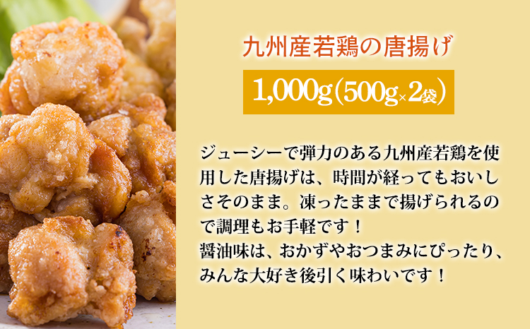 お手軽国産素材の手作りおかず3種類セット3.1kg(ピーマン肉詰め ハンバーグ 唐揚げ)　九州産コスパ・ボリューム満点 使いきりサイズ  一人暮らし 1人暮らし 時短調理 簡単調理 送料無料 [からあ