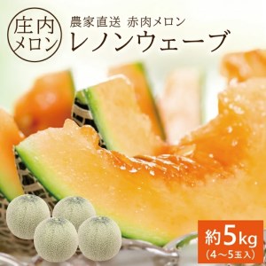 SA2869　庄内メロン/赤肉　レノンウェーブ　約5kg(4～5玉入)