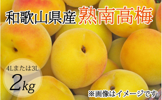 【梅干・梅酒用】（4Lまたは3L－約2Kg）熟南高梅　秀優混合【2027年6月上旬～7月上旬ごろ発送予定】【ART10】