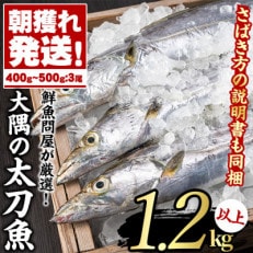 鹿児島県東串良町　『朝獲れ発送!大隅半島の太刀魚』3尾・総量1.2kg以上【15830】