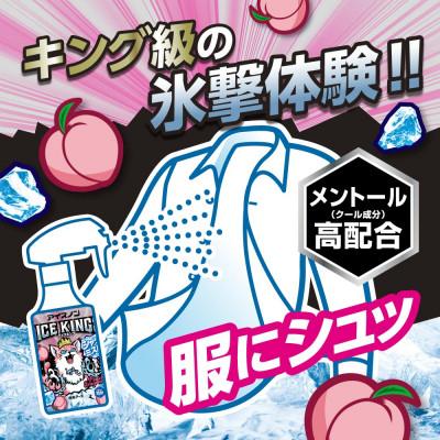 ふるさと納税 和歌山市 アイスノン　シャツミスト　ICE KING　ピーチの香り　本体詰め替えセット |  | 03