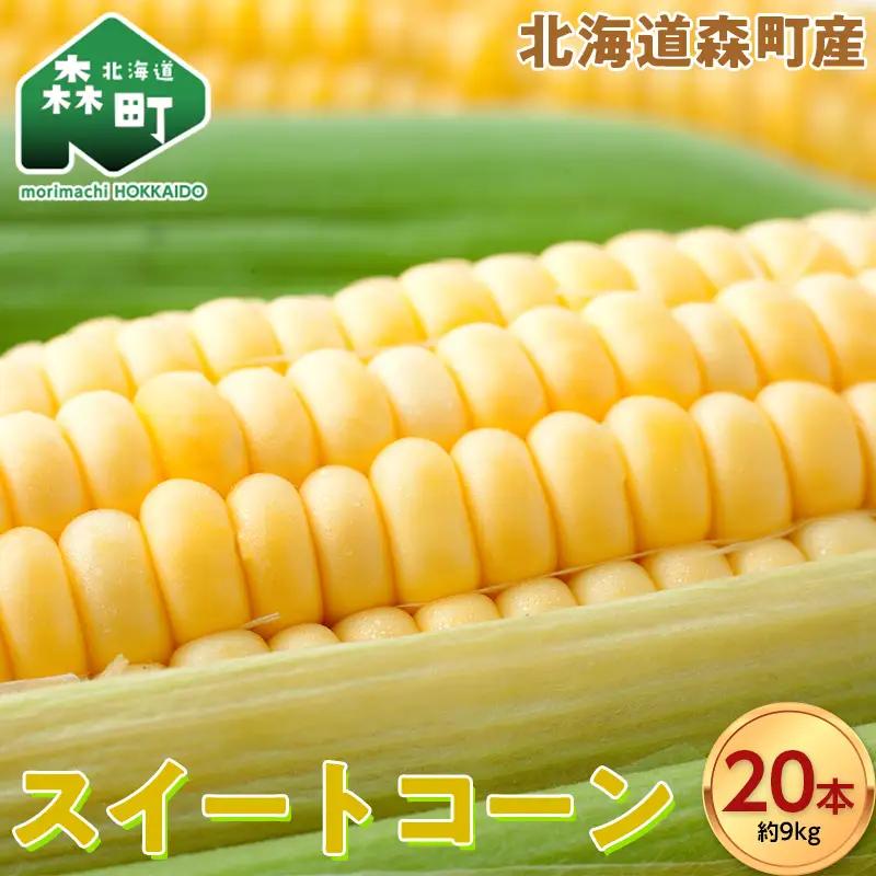 スイートコーンイエロー Lサイズ 20本 北海道森町産 （令和8年7月下旬から順次発送予定） ＜こうのファーム＞ とうもろこし トウモロコシ とうきび トウキビ 唐黍 mr1-1415