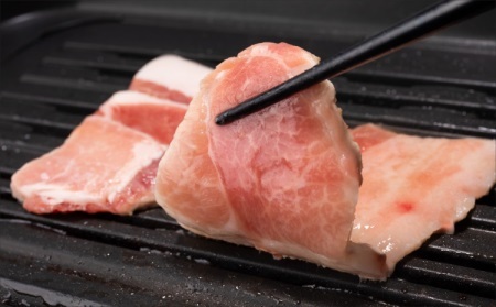 京丹波ぽーく（プレミアム） 焼肉用 デュロック種 京都 京丹波町産 豚肉 国産 ポーク 京都ポーク ※北海道・沖縄は配送不可 [012KT004]