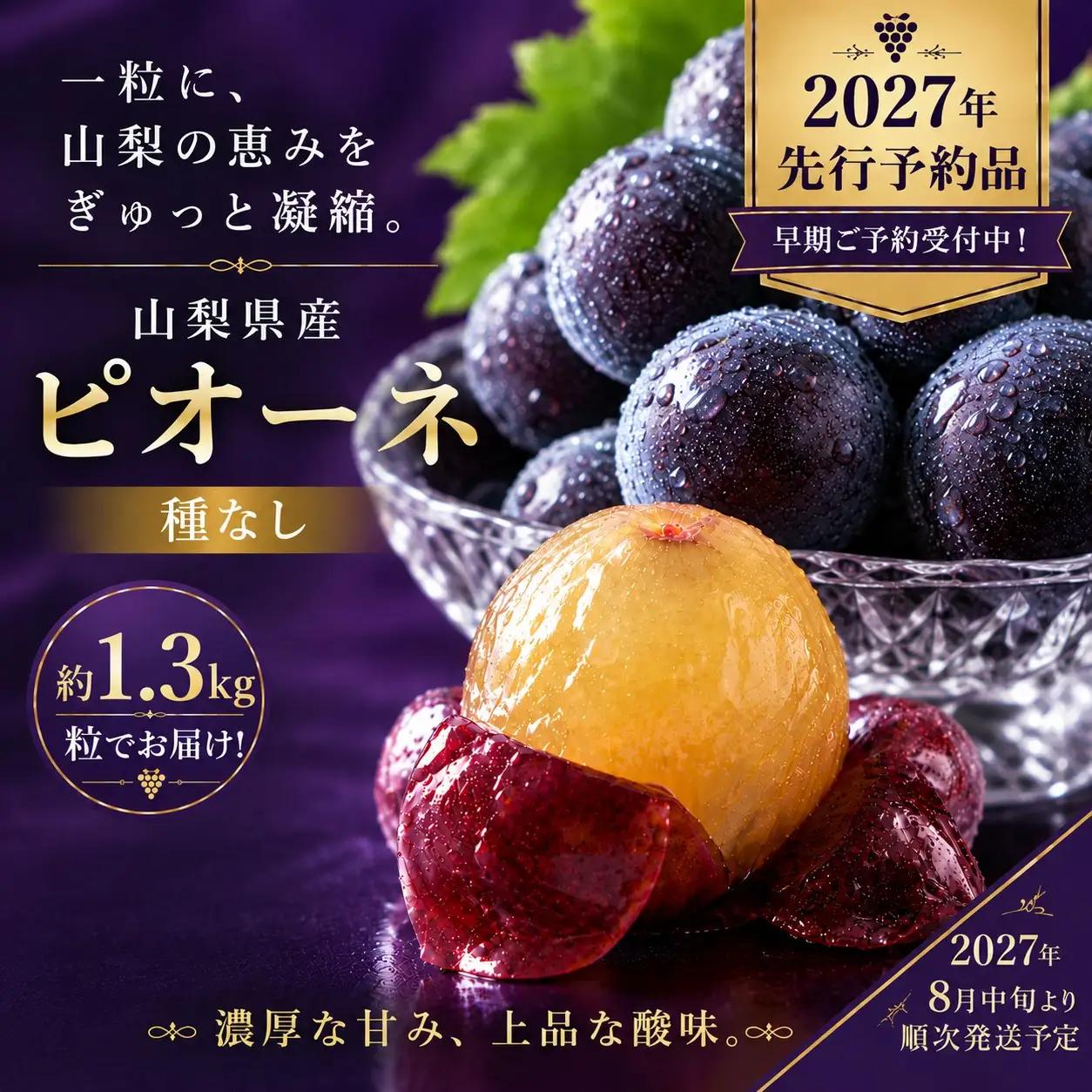 【2027年先行予約】ピオーネ 約1.3kg （粒）
