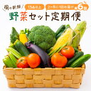 【ふるさと納税】定期便 旬の新鮮野菜セットB【年6回】たっぷり13品以上 ふるさと納税 野菜 ふるさと納税 定期便 野菜 詰め合わせ セット 旬の野菜 お野菜 定期便 6回 6ヶ月 送料無料