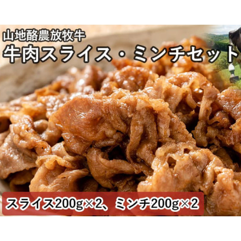 【ふるさと納税】 南国斉藤牧場 山地酪農放牧牛の牛肉スライス ミンチセット 各200g×2 計800g 肉 お肉 にく 食品 南国市産 人気 おすすめ 送料無料 ギフト セット