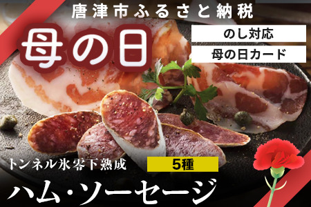 「母の日」トンネル氷零下熟成ハム・ソーセージセット TPC-2 詰合せ おかず おつまみ サラミ 生ハム ベーコン セット ギフト