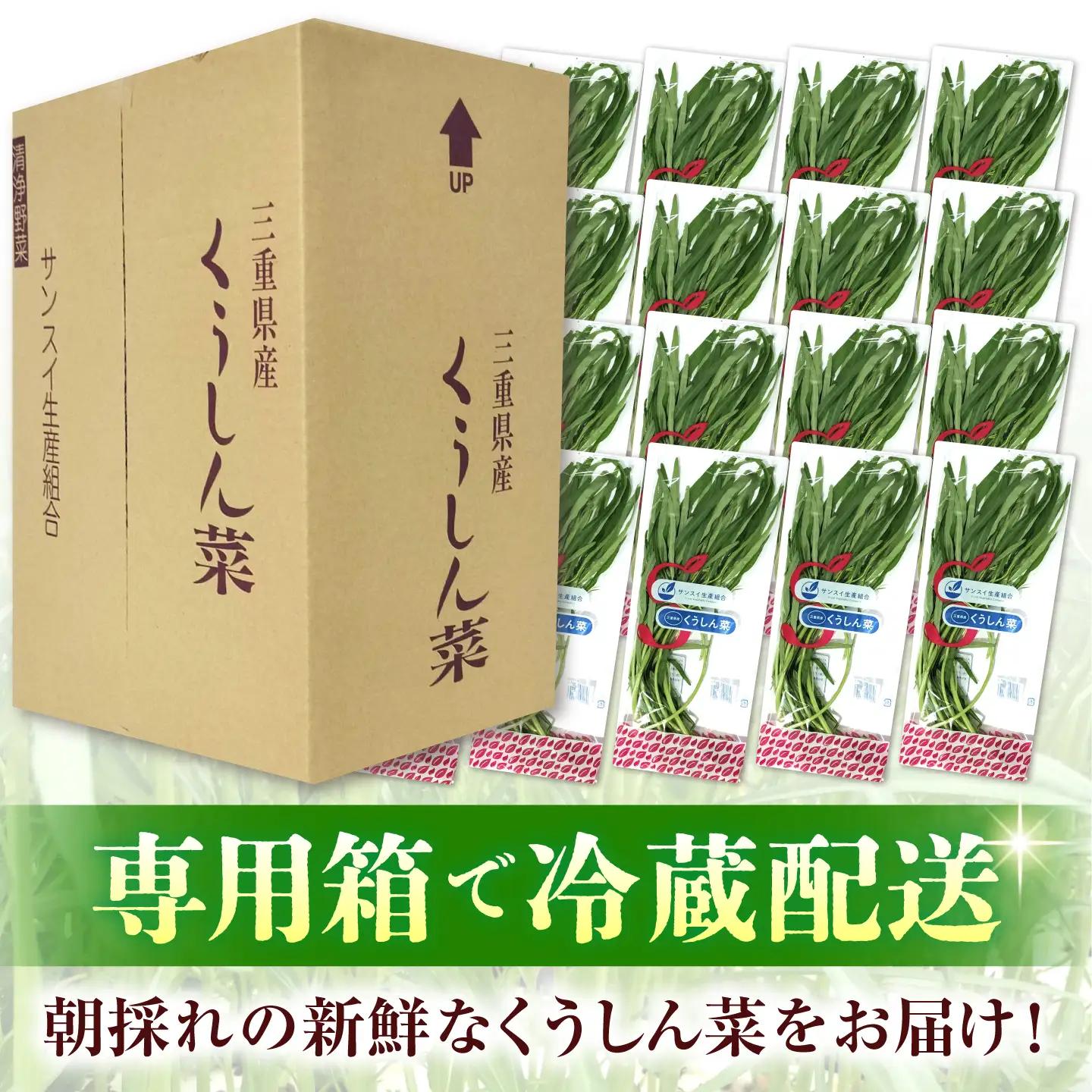 【ほうれん草の代わりになる】くうしん菜（空心菜）10袋 新鮮 野菜 葉物野菜 サラダ 国産 小分け AMCD004