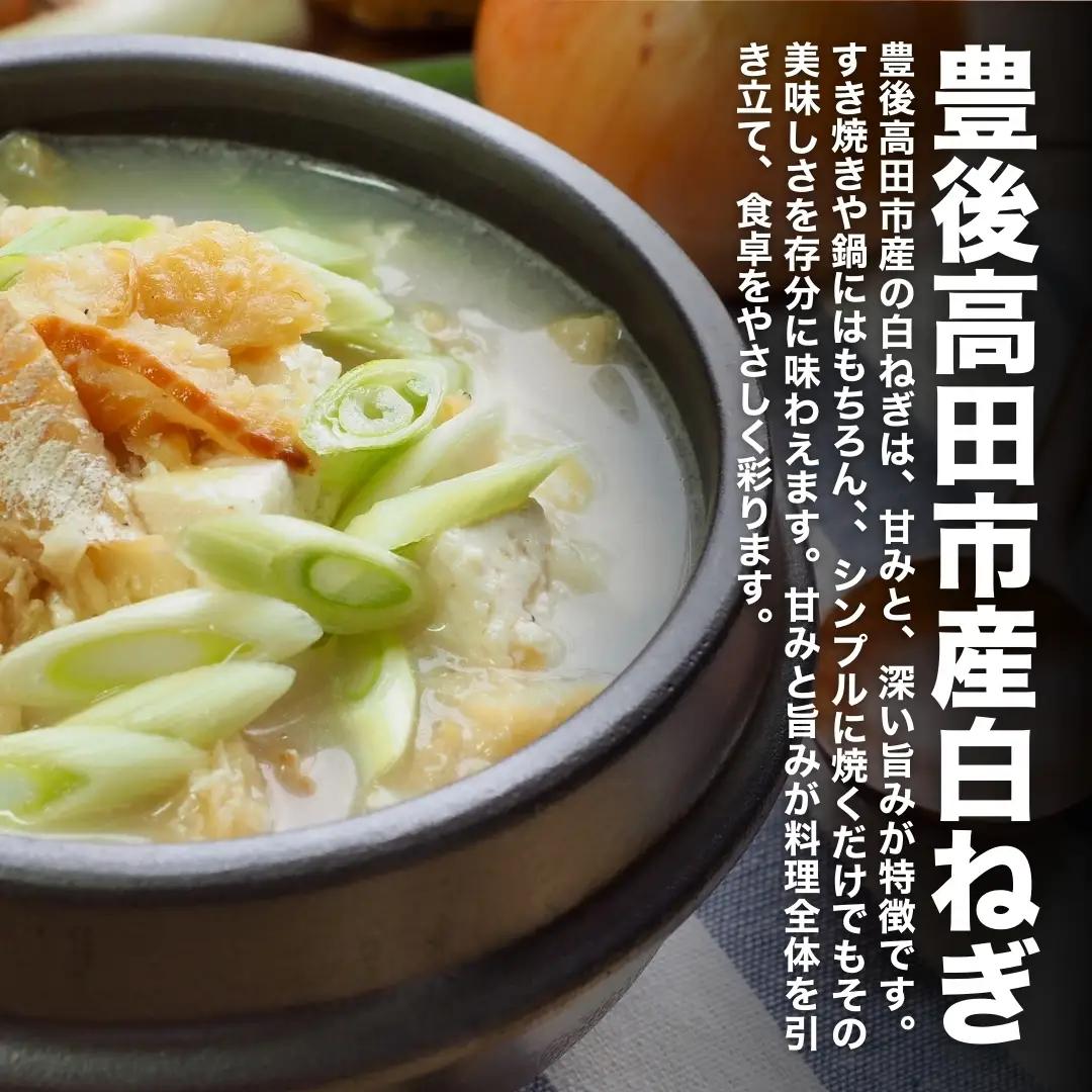 長ねぎ 白ねぎ 3kg前後 新鮮＆産地直送 | 長葱