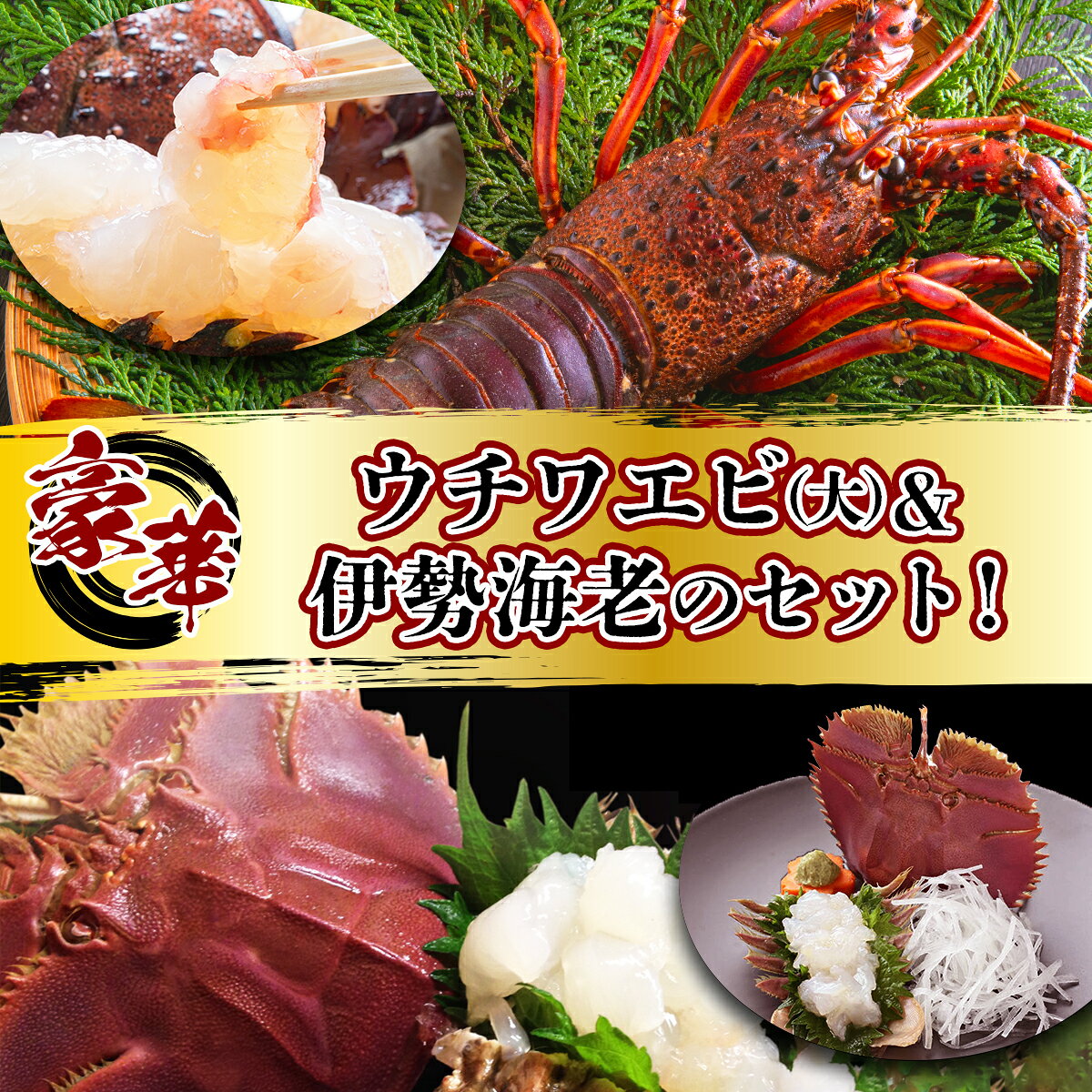 【ふるさと納税】＜選べる容量＞ウチワエビ(大)＆伊勢海老の豪華セット｜国産 東洋町産 天然 新鮮 海鮮 刺身 焼き ボイル 四国 お取り寄せ お祝い 記念日 贈り物 送料無料
