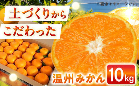 【自然の力を活かした栽培】温州みかん（普通） 10kg -2025年12月下旬より発送- 農事組合法人希望種（きぼうのたね）[ECQ006]  みかん ミカン 柑橘 温州みかん 果物 くだもの フルーツ 長崎みかん 長与みかん 10㎏