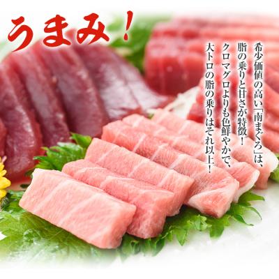 ふるさと納税 いちき串木野市 天然南マグロ堪能セット 上トロ、中トロ、赤身　計約600g |  | 03