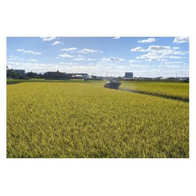 ふるさと納税 つがる市 令和7年産 つがる市産 まっしぐら 白米 10kg [0938] |  | 03