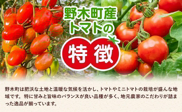 ※2024年2月22日時点
