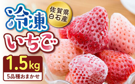 冷凍いちご おまかせ詰め合わせ 1.5kg / イチゴ 苺 フルーツ 果物 / 佐賀県 / 岸川農園 [41ASAG001]