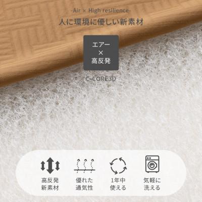 ふるさと納税 富士吉田市 【甲州羽毛ふとん】洗えるエアー敷き布団プレミアム(シングル) |  | 01