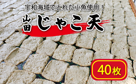 【 じゃこ天 】 じゃこ天 40枚 山田商店