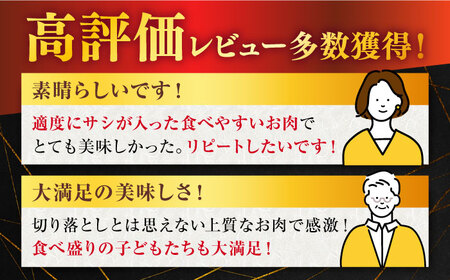 佐賀牛 牛肉切り落とし1kg NAB027 牛肉切り落とし