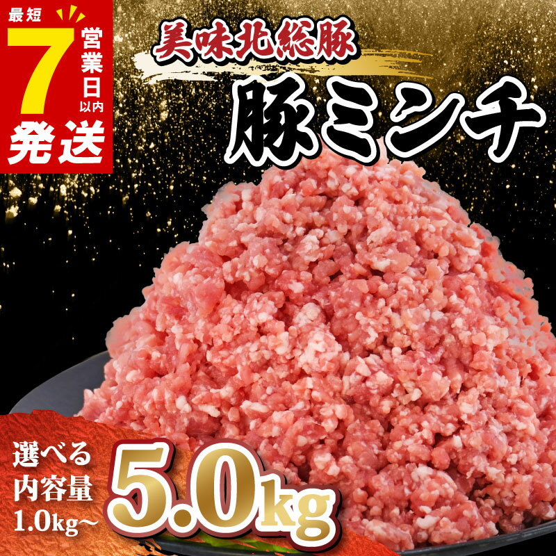 【ふるさと納税】 ＼最短7営業日以内発送／ 豚肉 ミンチ 選べる 3/4/5 kg 小分け 真空パック 500g 豚 ひき肉 挽肉 挽き肉 精肉 千葉 県産 銘柄 美味北総豚 ハンバーグ 冷凍 餃子 そぼろ 麻婆豆腐 家庭用 調理 国産 豚肉 銘柄豚 送料無料 千葉県 旭市 産地直送 旭食肉協同組合