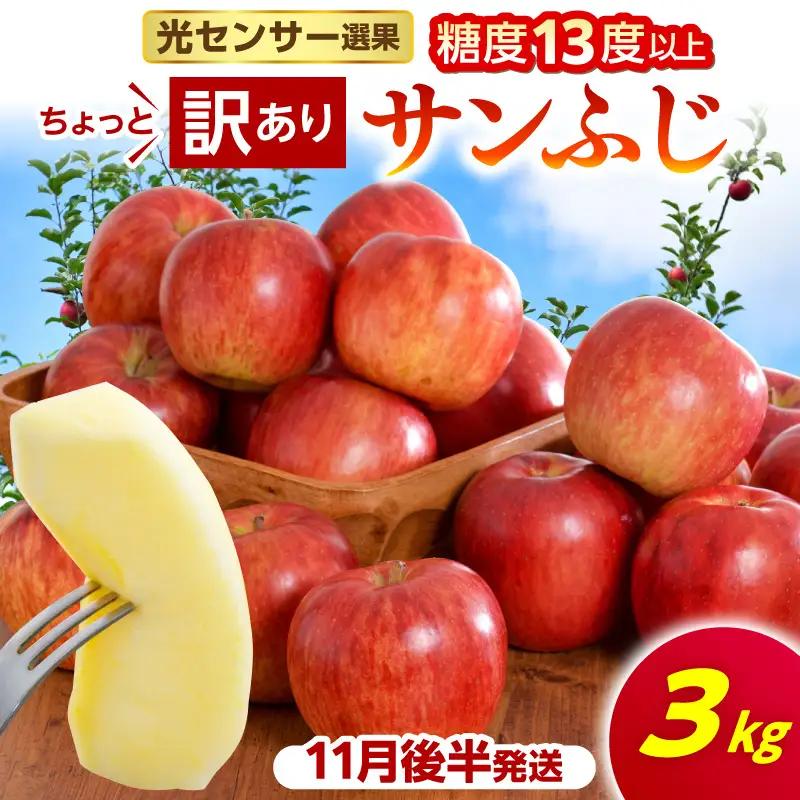 【2026年11月後半発送】【ちょっと訳あり】 りんご 約3kg サンふじ 青森県産 りんご