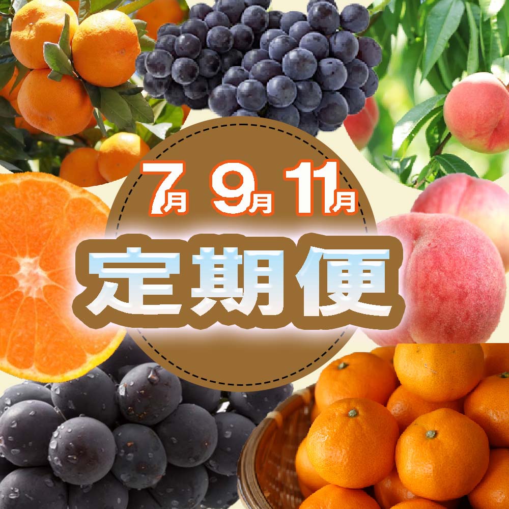 【ふるさと納税】 【定期便全3回】産直・和歌山フルーツ定期便（桃・ピオーネ・有田みかん） / フルーツ 果物 もも ぶどう ミカン 旬 定期便