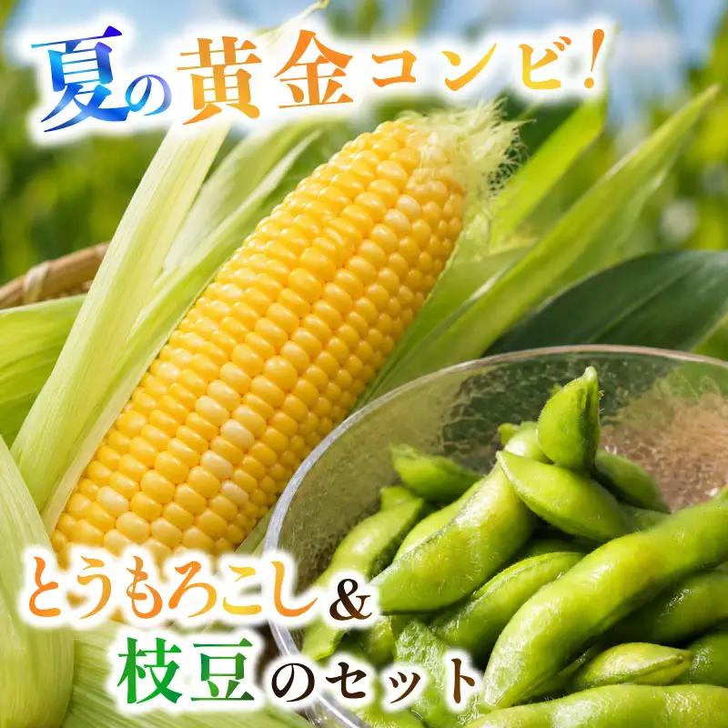 【6月順次発送 とうもろこし5本 枝豆3袋 セット】 夏の黄金コンビ！ 朝採り とうもろこし 枝豆  セット 旬 濃厚 丸新柴本製茶 静岡 県 牧之原市