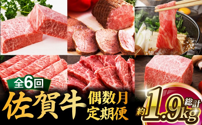 
                  【全6回定期便・偶数月にお届け】A4 A5 佐賀牛 霜降り 牛肉 食べ比べ 定期便 約2-3人前 総計1.95kg 隔月発送 牛肉 肉 ステーキ すき焼き 国産 牛肉 佐賀牛 定期便 サーロイン ブロック ステーキ すき焼き しゃぶしゃぶ カルビ 佐賀県 武雄市 焼き肉 すき焼き しゃぶしゃぶ 食べ比べ 定期便 /焼肉どすこい [UCC008]
                
