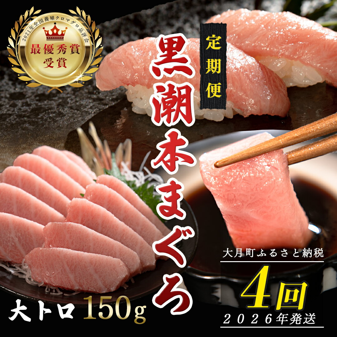 【ふるさと納税】【定期便 4回】日本一!黒潮本まぐろ 大トロ