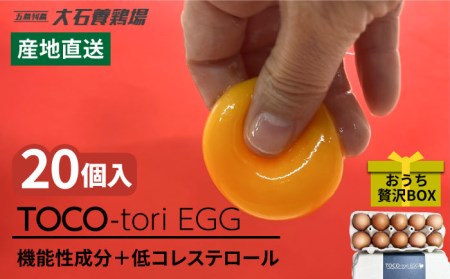 【黄身がつかめる！ブランド卵】TOCO-tori EGG おうち贅沢ボックス 卵 20個入 高級卵 たまご 五島市 / 五島列島大石養鶏場 [PFQ002]