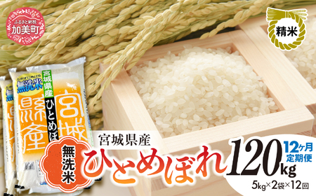 【新米予約】令和8年産ひとめぼれ 無洗米 10kg×12回定期便 ひとめぼれ