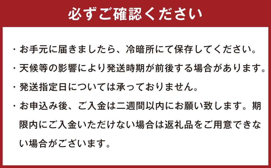 訳ありみかん 約5kg