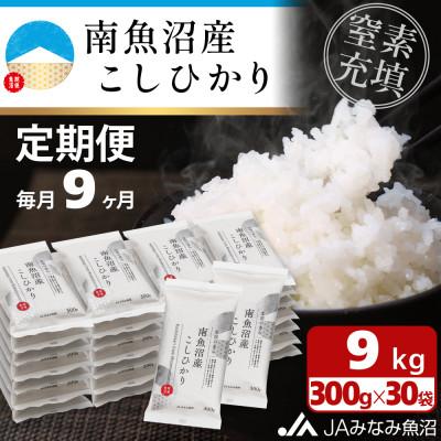 ふるさと納税 南魚沼市 【毎月定期便】＼美味しさ長持ち窒素充填パック/ 南魚沼産こしひかり 精米 小袋300g×30袋全9回