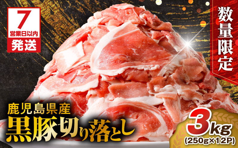 
            【7営業日以内に発送】【数量限定】鹿児島県産 黒豚切り落とし 3kg　K025-001_06
          