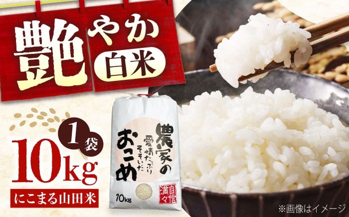 
            【令和7年産新米】 米 福山市産 新米 10kg にこまる | 株式会社吉川 にこまる 大粒 ふるさと納税 新米 しんまい シンマイ おおつぶ 広島県産 米 コメ こめ お米 白米 広島県 福山市 にこまる 人気 おすすめ ふるさと納税 美味しい ブランド米 令和七年産 お米 ご飯 主食 家庭用 送料無料 産地直送 農家直送 ツヤ 甘み [BAAL002]
          
