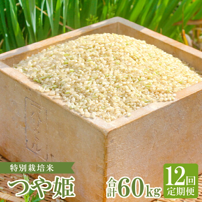 【ふるさと納税】【定期便】【新米】 特別栽培米 横尾衛門のつや姫 玄米 5kg×12回 コース 12ヵ月 1年 定期 毎月お届け 産地直送 ご飯 弁当 おにぎり 特産品 ブランド米 ツヤ姫 こだわり お米 お取り寄せ 12回定期