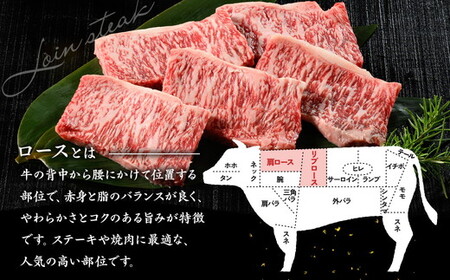 ロースステーキ 100g×5枚 ステーキ 切り落とし