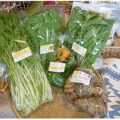 ふるさと納税 宗像市 【定期便/年4回 】有機肥料で育った季節の農産物&加工品のセット【アグリCATS】_HB0115 |  | 01